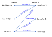 Diagramme des interactions biologiques.svg