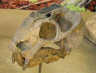 Bidentalia family of mammals (fossil)