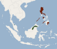 List Of Mammals Of The Philippines