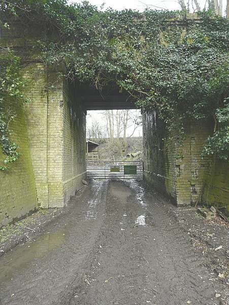 File:Disused railway bridge - geograph.org.uk - 3902978.jpg