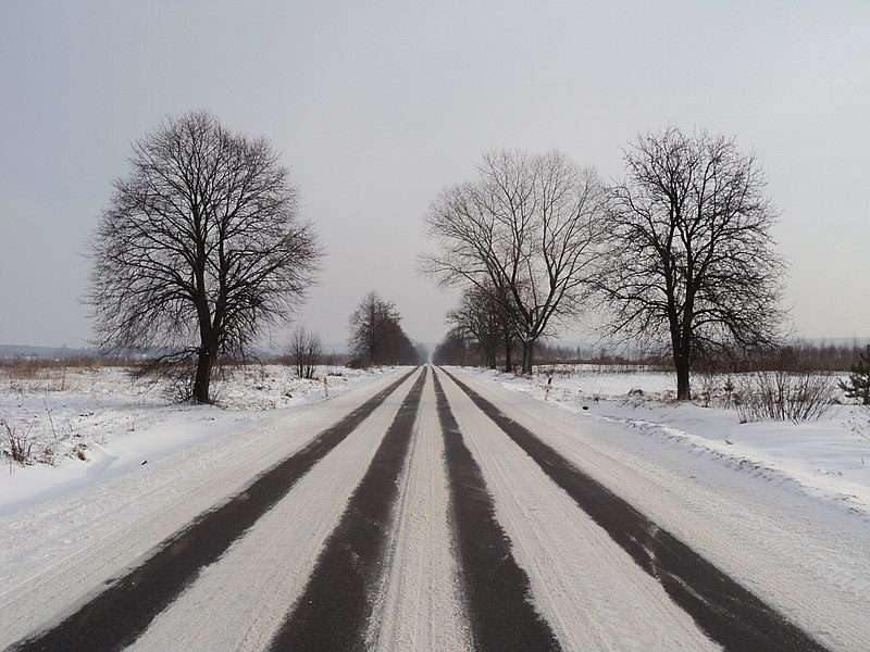 File:Droga główna w stronę Leżajska - panoramio.jpg