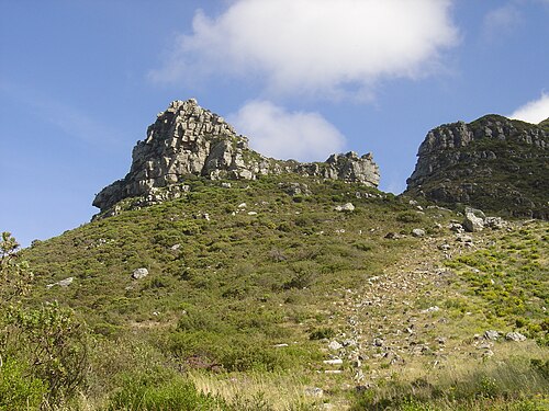 Cecilia, Table Mountain things to do in Muizenberg