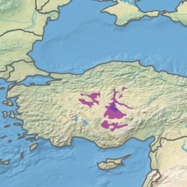 Central Anatolian Steppe