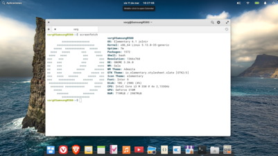 Elementary OS 6.1 - Mostrando Screenfetch