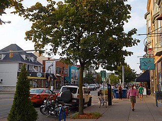 <span class="mw-page-title-main">Elmwood Village, Buffalo</span> Neighborhood in New York, United States