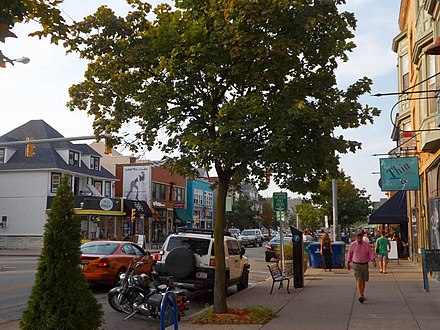 Elmwood Avenue, the backbone of the Elmwood Village, is a crowded thoroughfare of lovely boutiques, art galleries, sidewalk cafés, and fine restaurants.