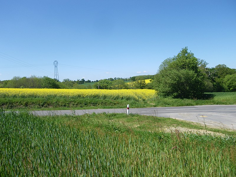 File:Environs de orgeres - panoramio (2).jpg