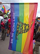 A flag supporting libertarianism and LGBT rights at a parade in Poland.