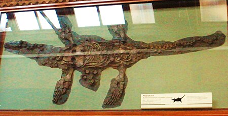 Eretmosaurus