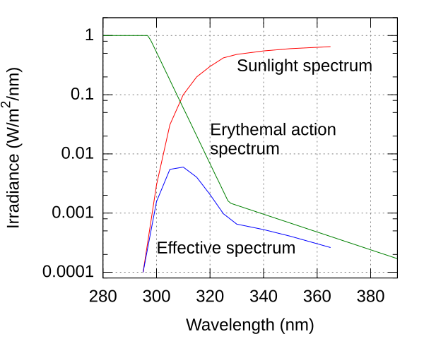 File:Erythemal action spectrum.svg