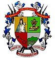 Escudo Naguanagua.jpg