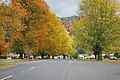 English: en:Omeo Highway, the main street of en:Eskdale, Victoria