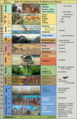 "Evolutionsgeschichte.png" by User:Geo-Science-International