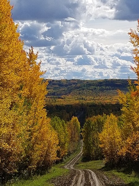 File:Fall Colours in Saddle Hills County.jpg
