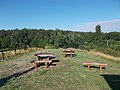 Fenyves trail, picnic place, Veszprém, 2016 Hungary.jpg