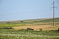Fields near Suceava, Romania.jpg