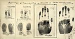Fingerprints taken by William James Herschel 1859-1860.jpg