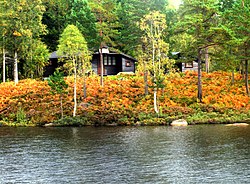 Finsko ostrvo - panoramio.jpg