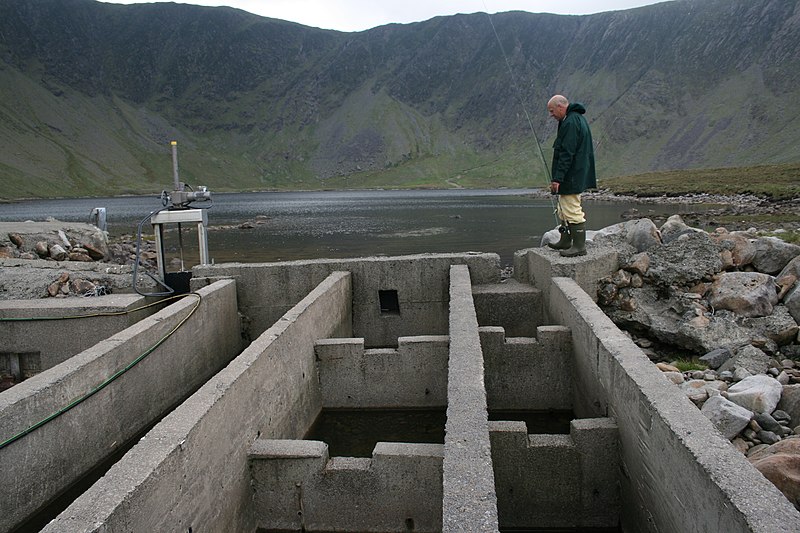 File:Fish pass at the outflow of Lough Nadirkmore - geograph.org.uk - 3611418.jpg