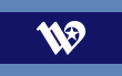 Vlag van Waco