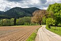 * Nomination Landscape of Frauenstein, Frauenstein, Carinthia, Austria -- Johann Jaritz 01:36, 17 May 2024 (UTC) * Promotion Good quality. --Jacek Halicki 02:43, 17 May 2024 (UTC)