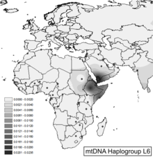 Projected spatial frequency distribution for haplogroup L6. Frequency maps based on HVS-I data for haplogroups L6.png