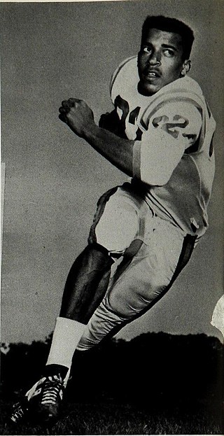 <span class="mw-page-title-main">Garry Lyle</span> American football player (born 1945)