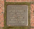 Stolperstein für Amalie Dammann