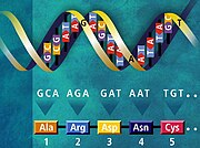 Genetický kód.jpg