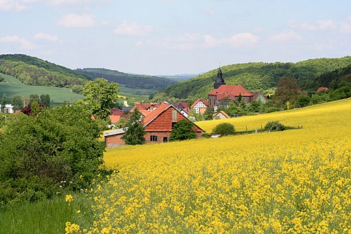 Gerbershausen Rapsfeld