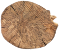 Vorschaubild für Gestocktes Holz