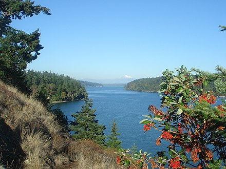 Goose Rock Trail on Whidbey Island