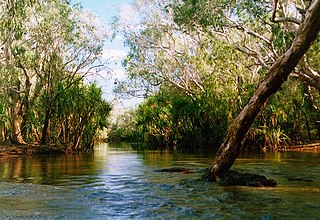 Goyder River River in Australia