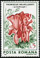 Stamp of Romania (1986)