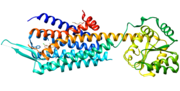 Thumbnail for Hypocretin (orexin) receptor 2