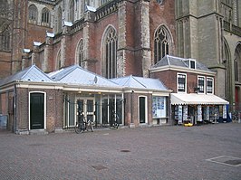 266px-Haarlem_vishal.jpg