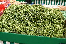 Image illustrative de l’article Haricot vert