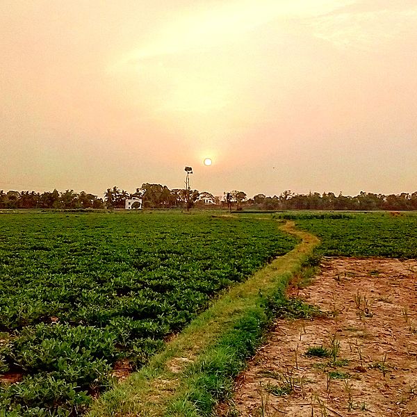 File:Harvesting nature.jpg