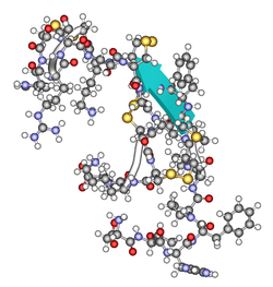 Hepcidin-20