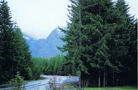 Highway 28 in Strathcona Park