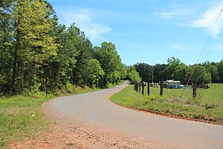 Ligon, Georgia human settlement in Bartow County, Georgia, United States of America