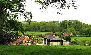 <span class="mw-page-title-main">Hoe Benham</span> Human settlement in England