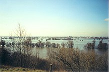 Blick vom Weinberg auf die Elbaue bei Hochwasser in Richtung Magdeburg