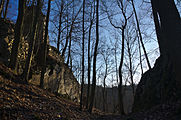 Čeština: Hrad Blansek, Suchdol, Vavřinec, okres Blansko This is a photo of a cultural monument of the Czech Republic, number: 24051/7-623. Památkový katalog  · MIS  · hledat obrázky  · hledat seznamy  · Wikidata