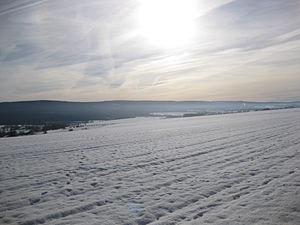 Usarkopf in the main ridge of the Idarwald