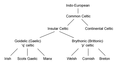 Indo-european to Insular Celtic flowchart.png