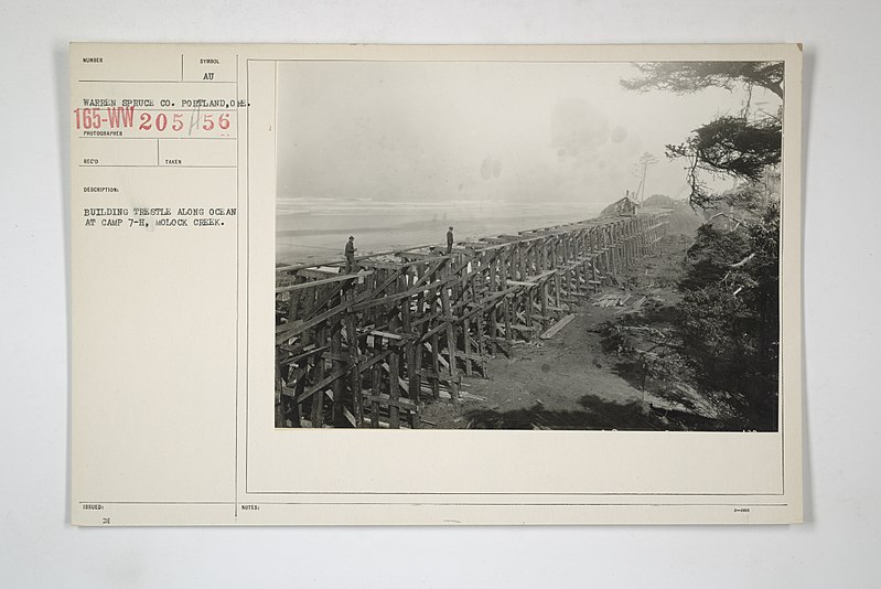 File:Industries of War - Lumbering - BUILDING TRESTLE ALONG OCEAN AT CAMP 7-H, MOLOCK CREEK - NARA - 31489821.jpg