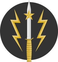 Знак отличия Группы специальной службы армии Пакистана (SSG) .svg