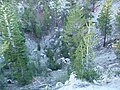 Inyo Craters - Deer Mountain crater