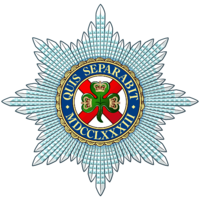 Irlandiyalik qo'riqchilar uchun Badge.png